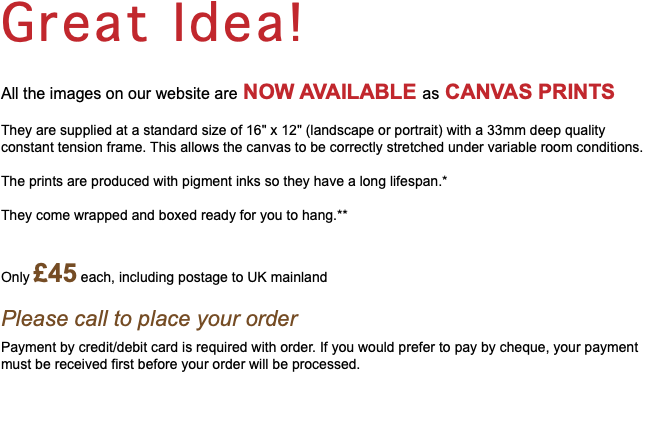 Great Idea! All the images on our website are NOW AVAILABLE as CANVAS PRINTS They are supplied at a standard size of 16" x 12" (landscape or portrait) with a 33mm deep quality constant tension frame. This allows the canvas to be correctly stretched under variable room conditions. The prints are produced with pigment inks so they have a long lifespan.* They come wrapped and boxed ready for you to hang.** Only £45 each, including postage to UK mainland Please call to place your order Payment by credit/debit card is required with order. If you would prefer to pay by cheque, your payment must be received first before your order will be processed.